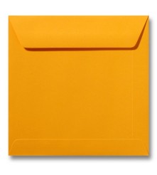 Envelop Roma 22 x 22 cm - 50 stuks - Boterbloemgeel