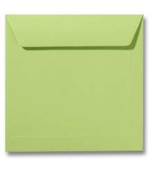 Envelop Roma 19 x 19 cm - 50 stuks - Ivoor