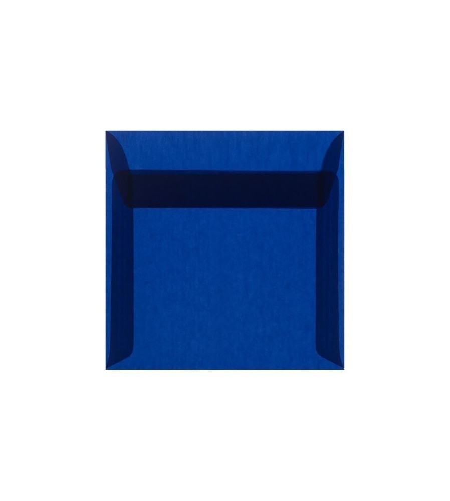 Transparant  - Lichtblauw - striplock 22x 22 cm -  pak 50 st.