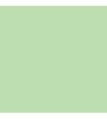 Rainbow  - Bright Groen  - kleur 74 - 92x65 - 80 g/m2 - 250 vel