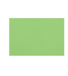 Roma vel A4 120 gram - Appelgroen - vel