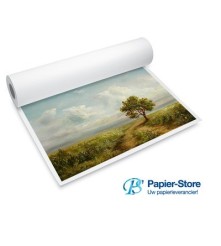 Master Photo Papier - Satijn - 200 G/M2 - 610 mm - 30 meter