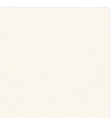 Off White Printpapier - A5 - 300 GM - 125 vel