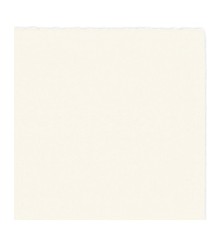 Off White Printpapier - A5 - 100 GM - 500 vel