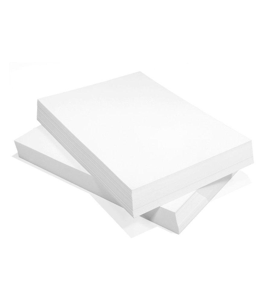Gedetailleerd versterking Ook Pallet White Label Printpapier - A4 - 75 GM - PK/500VEL - Papier-Store
