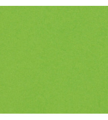 Olin Colours - Pistache - 170 GM - A2 (594x420)