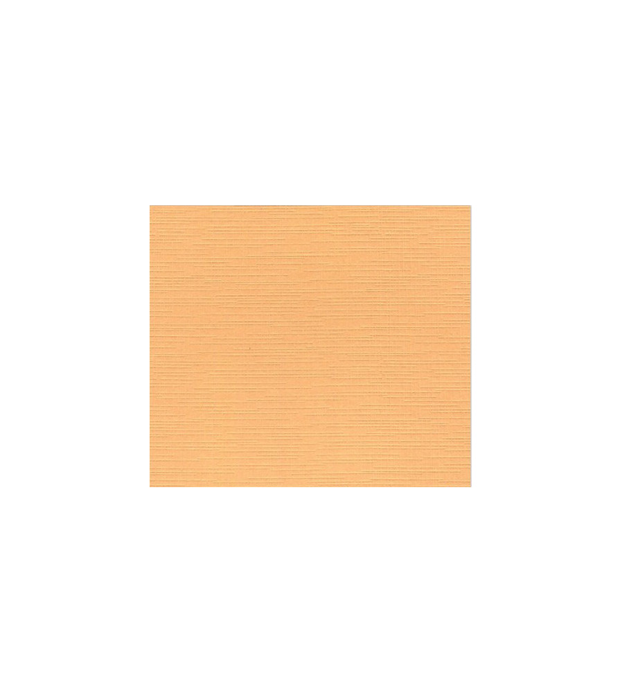 Linnenkarton - Zalm - 240 GM - A5