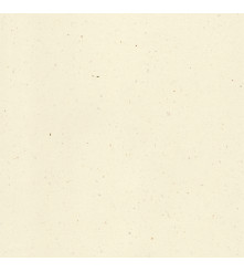 Curious Particles - Natural Lily Flower - 120 gm - A5