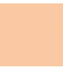 Zalm  - A5 - 80 g/m2 - 500 vel