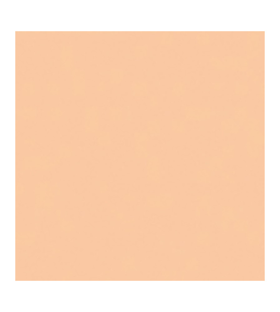 Zalm  - A5 - 80 g/m2 - 500 vel