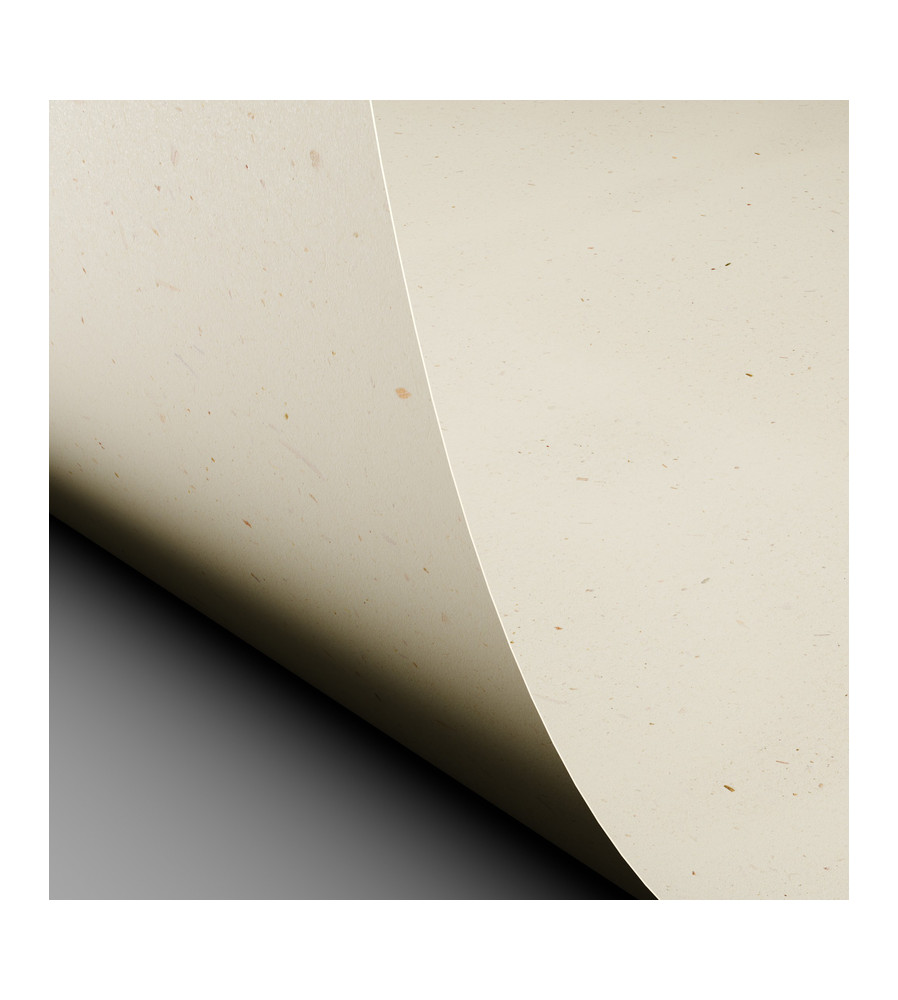 Curious Particles - Natural Lily Flower - 240 gm - A5