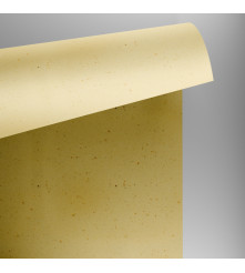 Curious Particles - Cream Rose - 120 GM - A3