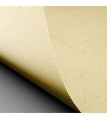 Curious Particles - Cream Rose - 120 GM - A3
