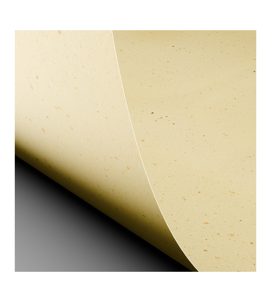 Curious Particles - Cream Rose - 120 GM - A3