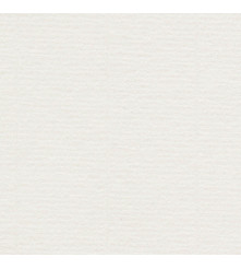 Conqueror gevergeerd - 250 GM - Creme - A3