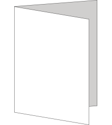 Biotop papier - 250 G/M2 - 105x297 -  Enkele vouw  - 100 vel