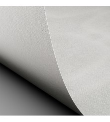 Conqueror gevergeerd - 250 GM - Creme - A4