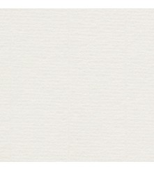 Conqueror gevergeerd - 300 GM - Creme - A3