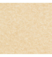 Perkament Oud - 250 GM - Enkele vouw - A4