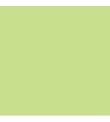 Helder Groen - 74 - A5 - 80 g/m2 - 500 vel