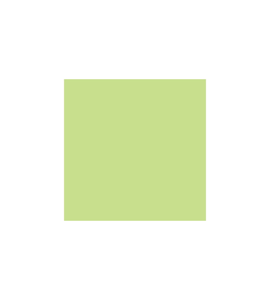 Helder Groen - 74 - A5 - 80 g/m2 - 500 vel