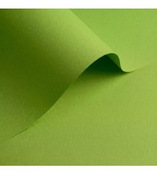 Olin Pistachio - 170 GM - A5 - 100 vel
