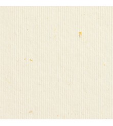 Gmund Bio Cycle wheat -  300 GM - A3