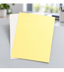Xerox Carbonless  papier bestellen