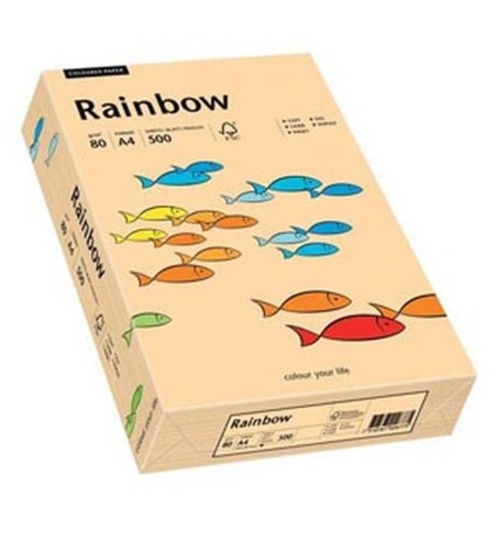Rainbow  - Zalm - 40 - A4 - 160 g/m2 - 250 vel