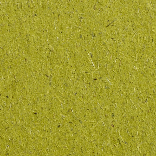 14-1009-Gmund-Bio-Cycle-Chlorophyl-76-.j