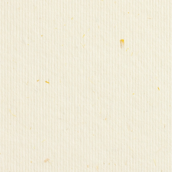14-1009-Gmund-Bio-Cycle-Wheat-20-.jpg